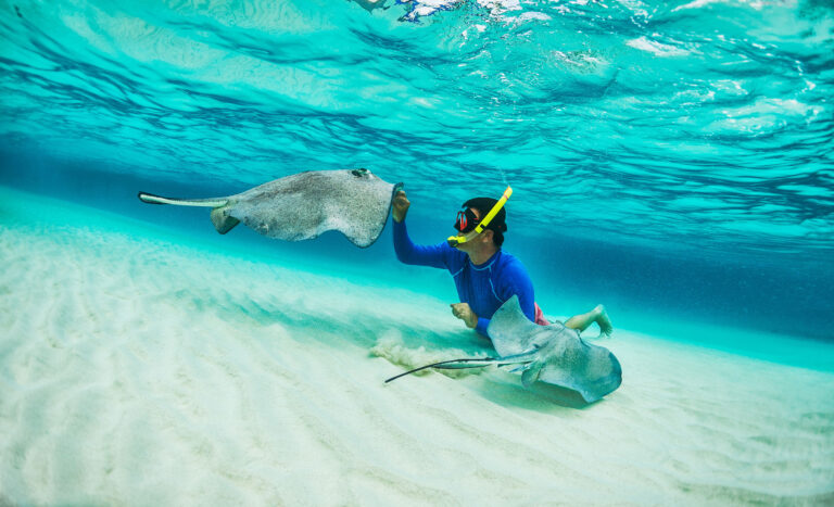 Swim with the Stingrays on Grand Cayman